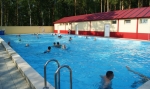 КРАСНАЯ ГВОЗДИКА
