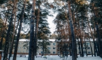 ЛЕСНИКИ