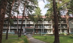 ЛЕСНИКИ