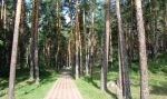 ЧЕБАРКУЛЬСКИЙ