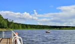 КРАСНАЯ ГВОЗДИКА
