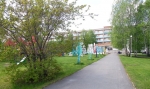 КАРАГАЙСКИЙ БОР