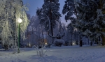 БАРНАУЛЬСКИЙ