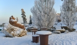 БАРНАУЛЬСКИЙ