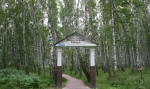 БЕРЕЗОВАЯ РОЩА