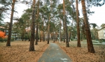 ЛЕСНИКИ