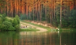 КАРАГАЙСКИЙ БОР