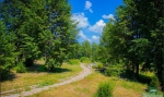 БАРНАУЛЬСКИЙ
