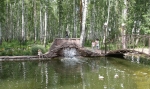 БЕРЕЗОВАЯ РОЩА