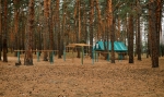 ЛЕСНИКИ