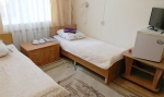 КРАСНАЯ ГВОЗДИКА