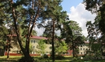 ЛЕСНИКИ
