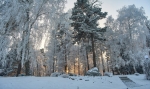 БАРНАУЛЬСКИЙ