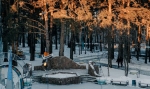 ЛЕСНИКИ