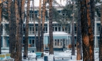 ЛЕСНИКИ