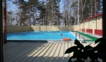 КРАСНАЯ ГВОЗДИКА