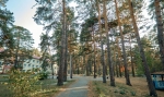 ЛЕСНИКИ